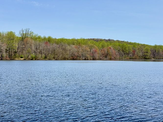 Picture 28 of Hopewell Furnace and Lake Loop Hike