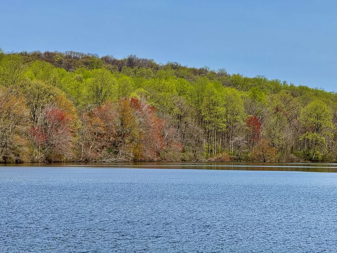 View of the water and spring foliage in the trees