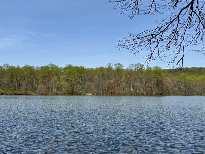 View of the lake