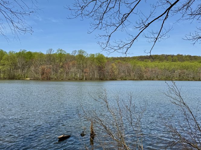 Picture 32 of Hopewell Furnace and Lake Loop Hike