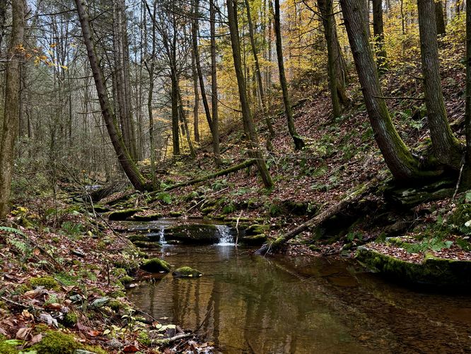 Small cascades in Callahan Run