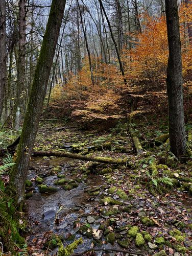 Picture 4 of Horns Quarry Vista Hike