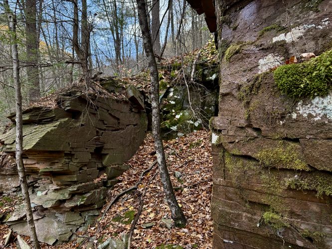 A section of Horn's Quarry