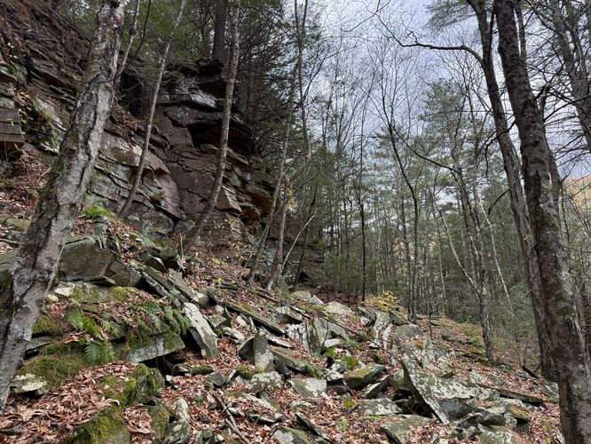 Picture 15 of Horns Quarry Vista Hike