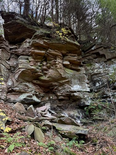 Picture 16 of Horns Quarry Vista Hike