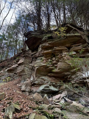Picture 18 of Horns Quarry Vista Hike