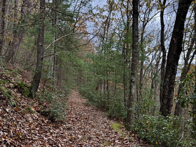 The old quarry trail leads up to the vista
