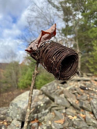 Picture 33 of Horns Quarry Vista Hike