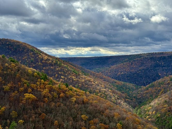 Autumn foliage in the mountains with a view into the PA Grand Canyon