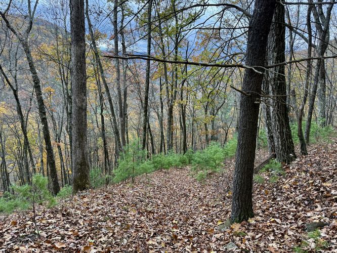 Follow the trail as it leads back down the mountain