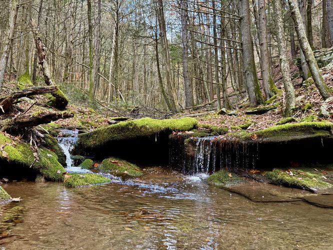 Small cascade in Callahan Run