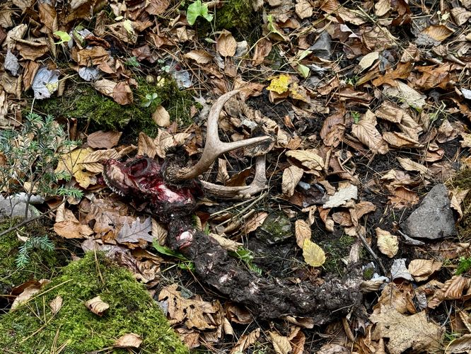 Picture 40 of Horns Quarry Vista Hike