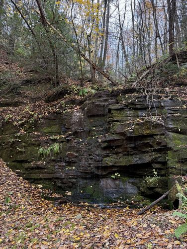 Picture 44 of Horns Quarry Vista Hike