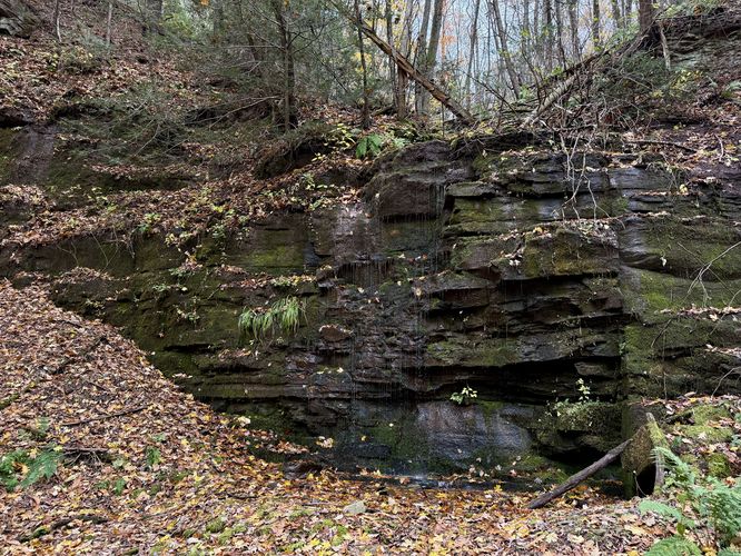 Horn's Quarry Falls - seasonal waterfall, approx. 15-feet tall