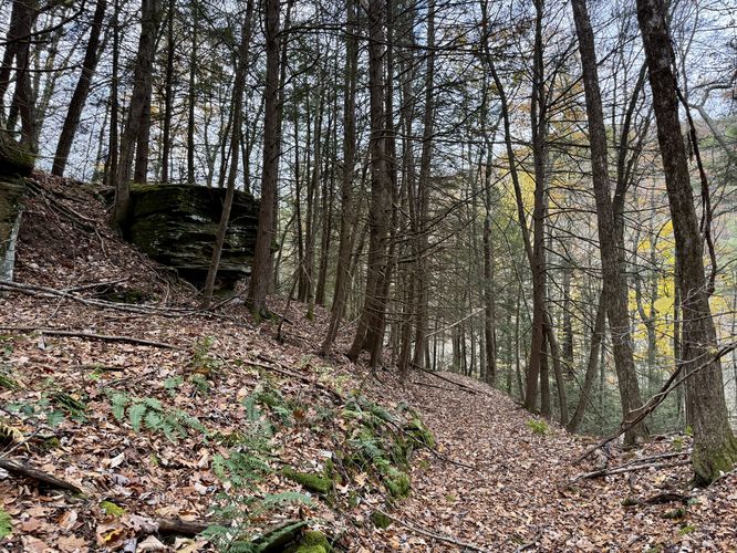 Follow the old quarry road back to Callahan Run