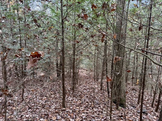 Hiking down the trail to reach Callahan Run once more