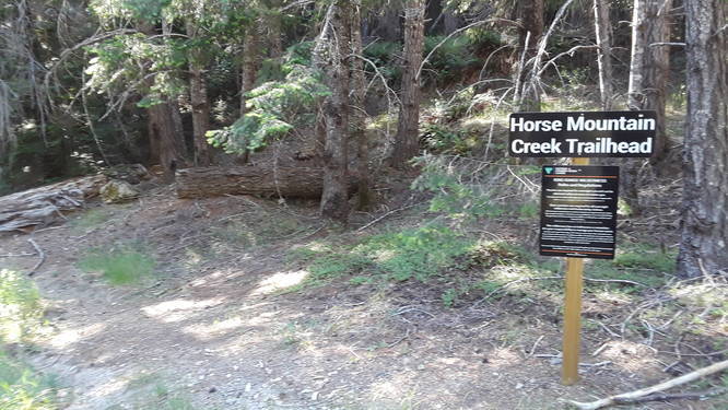 Horse Mountain Creek Trail