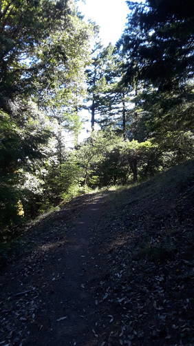Picture 2 of Horse Mountain Creek Trail