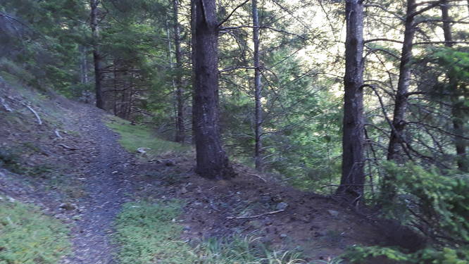 Picture 11 of Horse Mountain Creek Trail