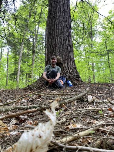Dave with the Mother Tree old-growth Eastern Hemlock (~240 to 250-years old)