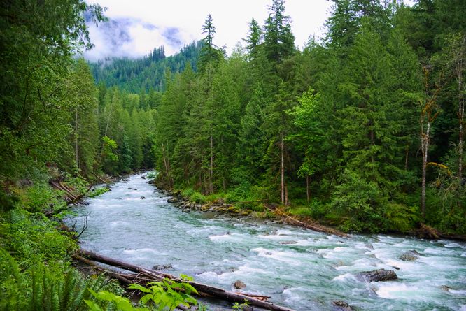 View of the glacier-fed Nooksack River