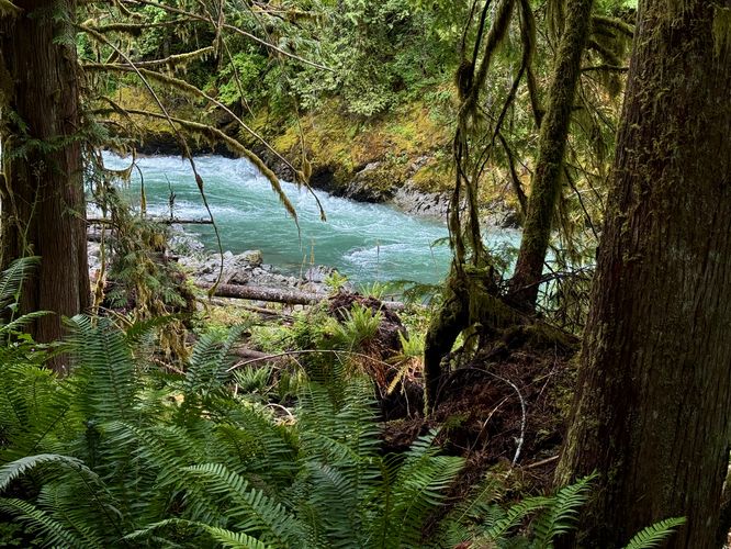 View of vibrant turquoise water of the Nooksack River