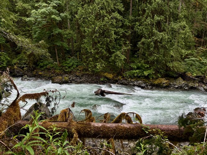 Scenic view of the Nooksack River