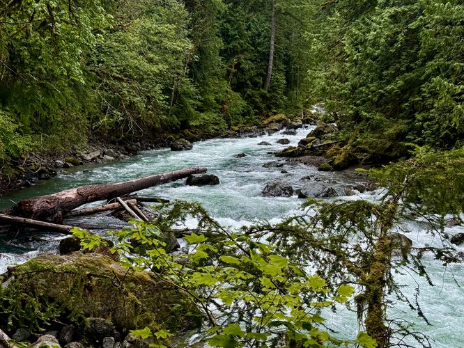 View of the glacier-fed Nooksack River