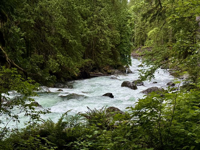 Beautiful view of the Nooksack River