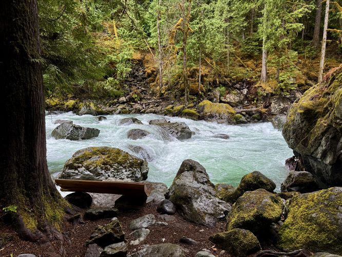 Default image for Horseshoe Bend Trail Hike, a 1.6-mile trail in Glacier, WA (US)