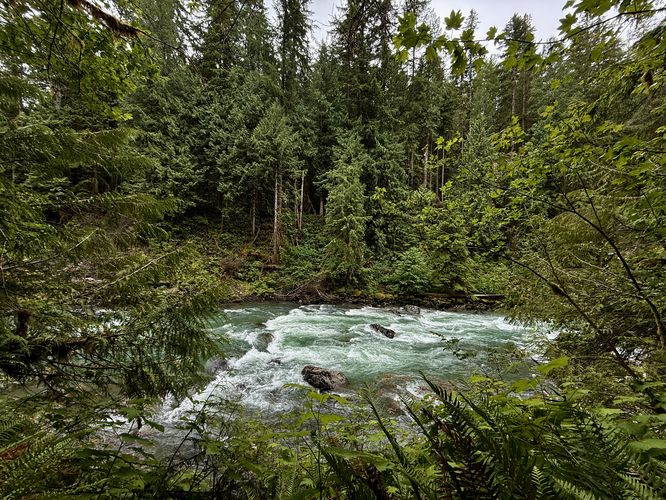 View of the Nooksack River