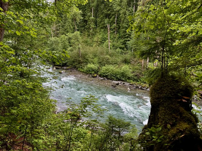 Last river view before turning around