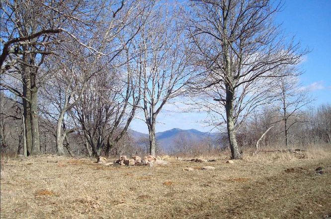 Picture 1 of House Mountain Hike 030108