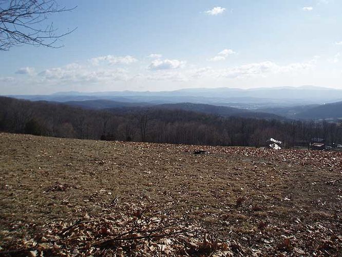 Picture 9 of House Mountain Hike 030108