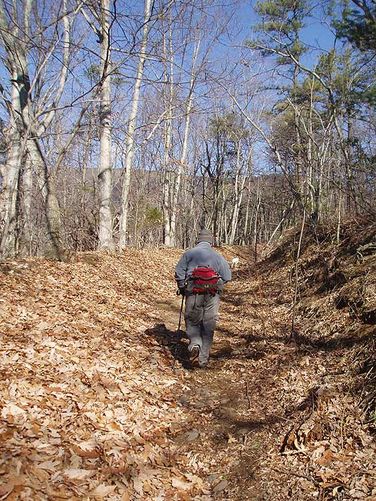 Picture 11 of House Mountain Hike 030108