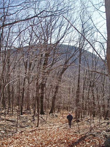 Picture 16 of House Mountain Hike 030108