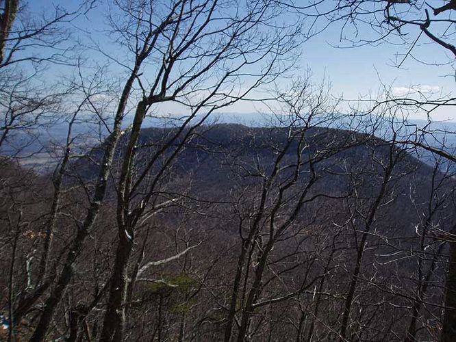 Picture 20 of House Mountain Hike 030108