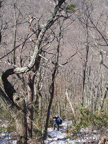 Picture 27 of House Mountain Hike 030108
