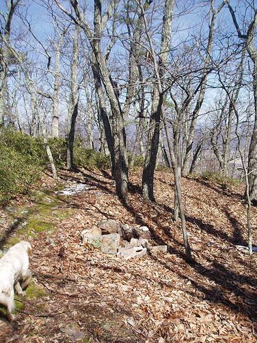 Picture 31 of House Mountain Hike 030108