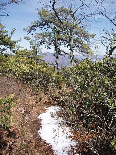 Picture 32 of House Mountain Hike 030108