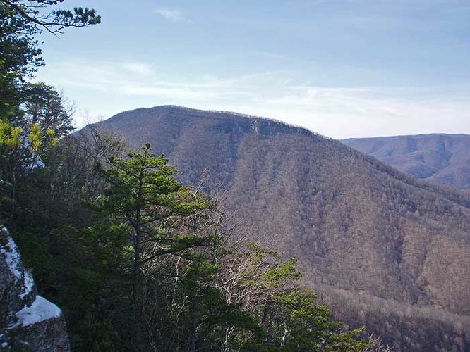 Picture 35 of House Mountain Hike 030108