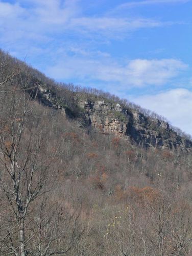Picture 2 of House Mountain Hike 111510