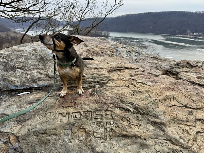 "House Rock" carving with a view