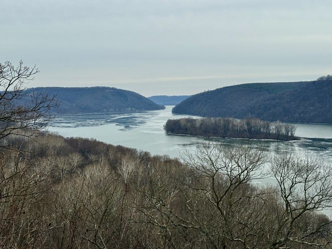 South-facing view of the river
