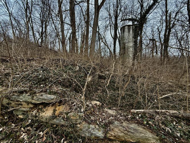 Abandoned farm building foundation
