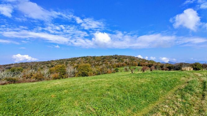 Picture 5 of Huckleberry Knob Hike 100718
