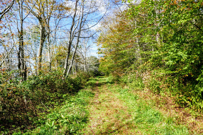 Picture 7 of Huckleberry Knob Hike 100718