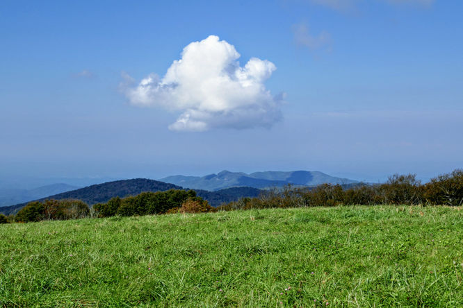 Picture 16 of Huckleberry Knob Hike 100718