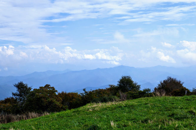 Picture 18 of Huckleberry Knob Hike 100718
