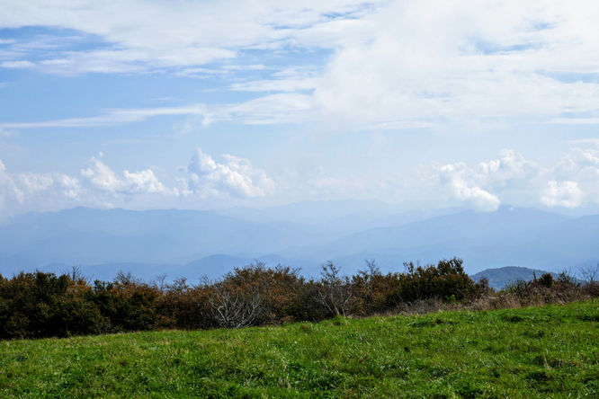 Picture 19 of Huckleberry Knob Hike 100718